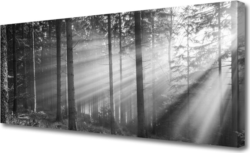 Tulup Leinwand-Bilder 125x50 Wandbild Canvas Kunstdruck Wald Natur
