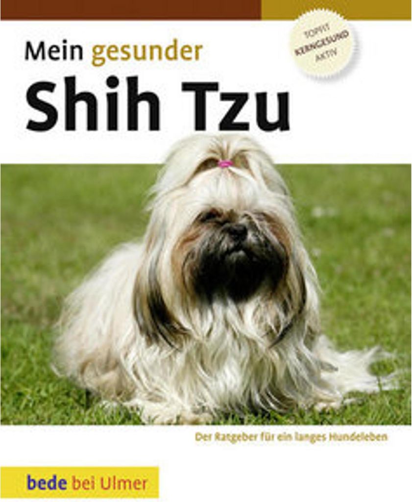 Mein gesunder Shih Tzu