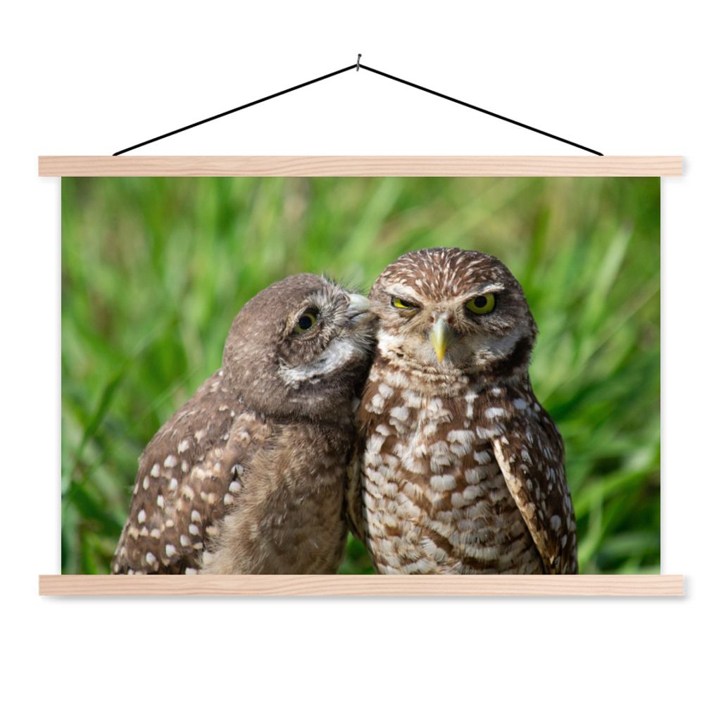 MuchoWow Textilposter Eulen - Vögel - Gras 120x80 cm mit holzfarbenen Rahmen - Aufhängeset