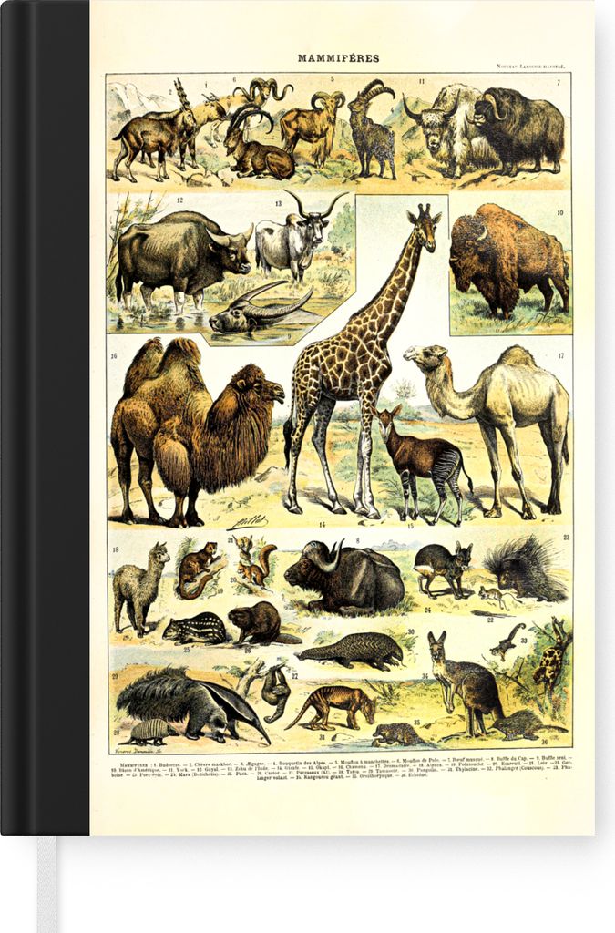 MuchoWow Notizbuch Tagebuch Haushaltsbuch Notebook A5 Tiere - Giraffe - Kamel - Notizblock - Notizheft - Notebook - Schreibblock - Papier