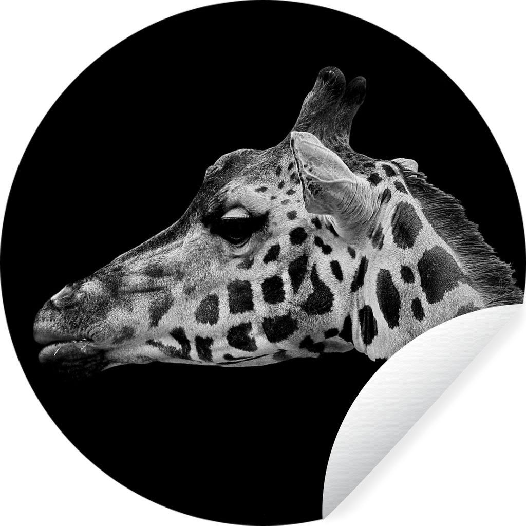 MuchoWow Runde Wandtattoo - Wandsticker Tapete Aufkleber Tiere - Giraffe - Schwarz - Weiß Ø 50 cm Selbstklebend und Repositionierbar - Wandaufk...