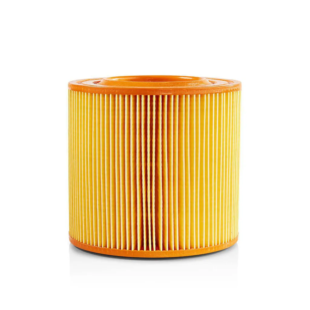 Filtro Motore Professionale per Allaway Serie A/C | Ricambio Standard