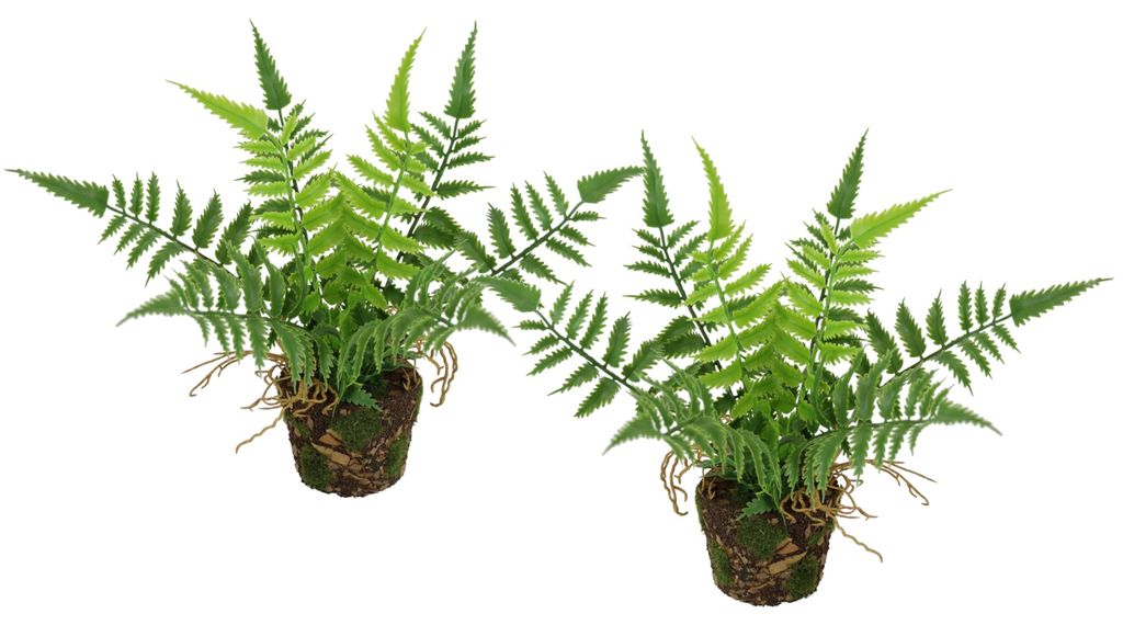 Künstlicher Waldfarn im Topf, 23 cm, 2er-Set, Bostonfarn, Topfpflanze, Sträucher, Pflanzen, Blumen, naturgetreu, dekorativ, Seidenpflanze, Grünp...