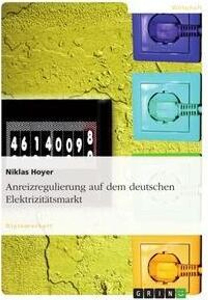 Anreizregulierung auf dem deutschen Elektrizitätsmarkt