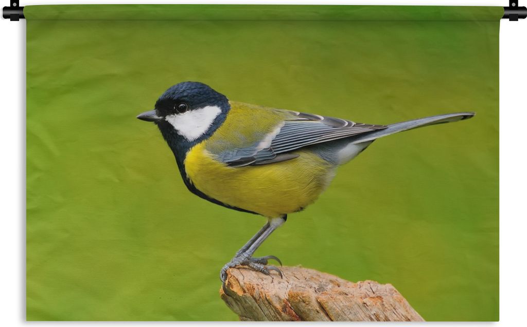 MuchoWow Wandteppich Wandbehang Vogel - Kohlmeise - Tiere - Grün 90x60 cm Tapisserie Dekoration Wandtuch - Wandskulpturen - Bildteppich