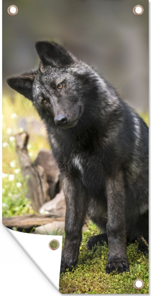 MuchoWow 80x160 cm Outdoor-Poster Gartendeko Sichtschutz Garten Poster für den Garten Wolf - Schwarz - Gras