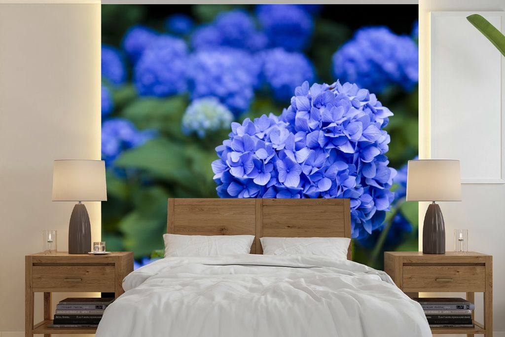 MuchoWow Fototapete für Wohnzimmer oder Schlafzimmer Wandtapete Vinyl Motivtapete Nahaufnahme blaue Hortensienblüten - 300x300 cm - Wanddekoration