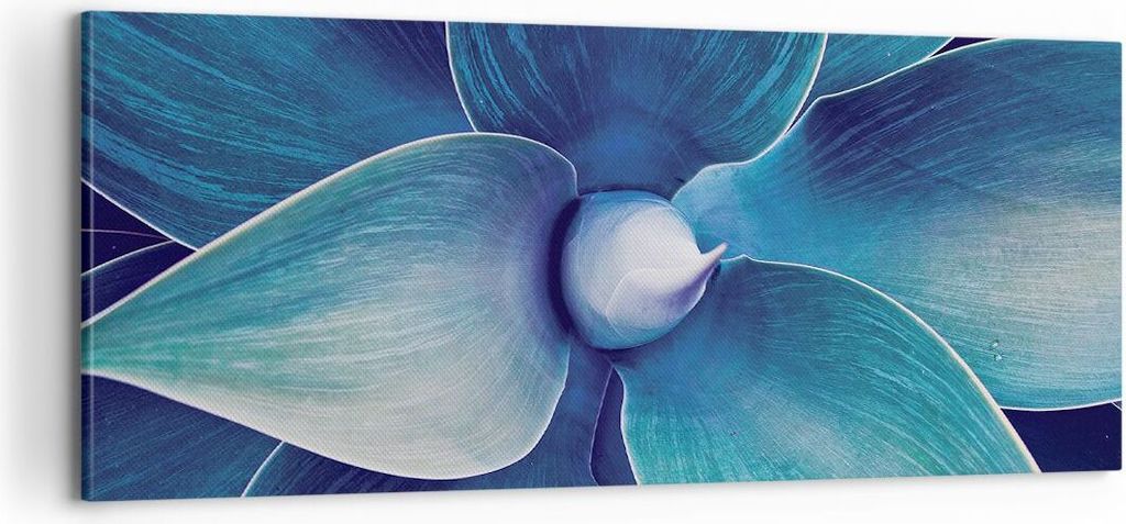 Bild auf Leinwand - Leinwandbild - Einteilig - Agave Blau Produktbild 
