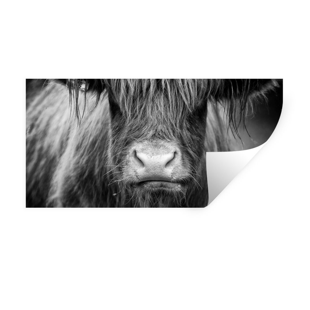 MuchoWow Wandtattoo Wandsticker Wandaufkleber Schottischer Highlander - Haare - Tiere 120x60 cm Selbstklebend und Repositionierbar - Sticker - De...