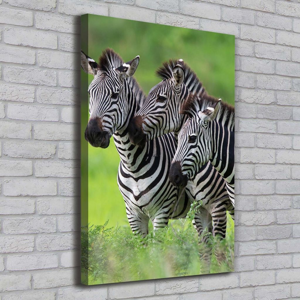 Tulup Leinwandbild - 70x100cm - Wandkunst - Drucke auf Leinwand - Leinwanddruck - Wohnzimmer Wanddekoration XXL - Wohnung Deko Kunstdrucke - Tier...