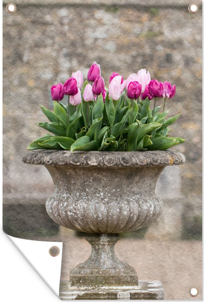 MuchoWow 60x90 cm Outdoor-Poster Gartendeko Sichtschutz Garten Poster für den Garten Ein Pflanzgefäß aus Stein mit rosa Tulpen