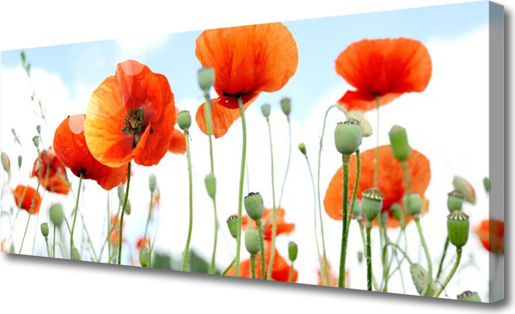 Tulup Leinwand-Bilder 125x50 Wandbild Canvas Kunstdruck Mohnblumen Pflanzen