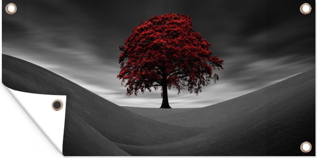 MuchoWow 60x30 cm Outdoor-Poster Gartendeko Sichtschutz Garten Poster für den Garten Schwarz-Weiß-Foto mit einem roten Baum