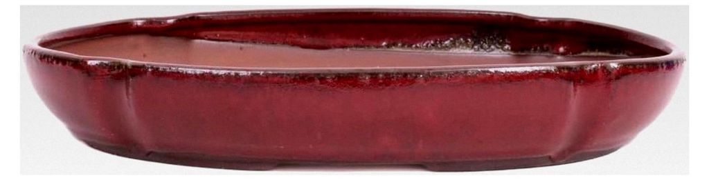 Bonsai - Schale, Waldschale, oval 32,5 x 23 x 5 cm Bordeaux