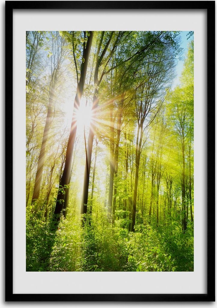 Bild - Bilderrahmen - Foto - 70 cm x 100 cm - MDF - Rahmen - Wandkunst - Sonne im Wald