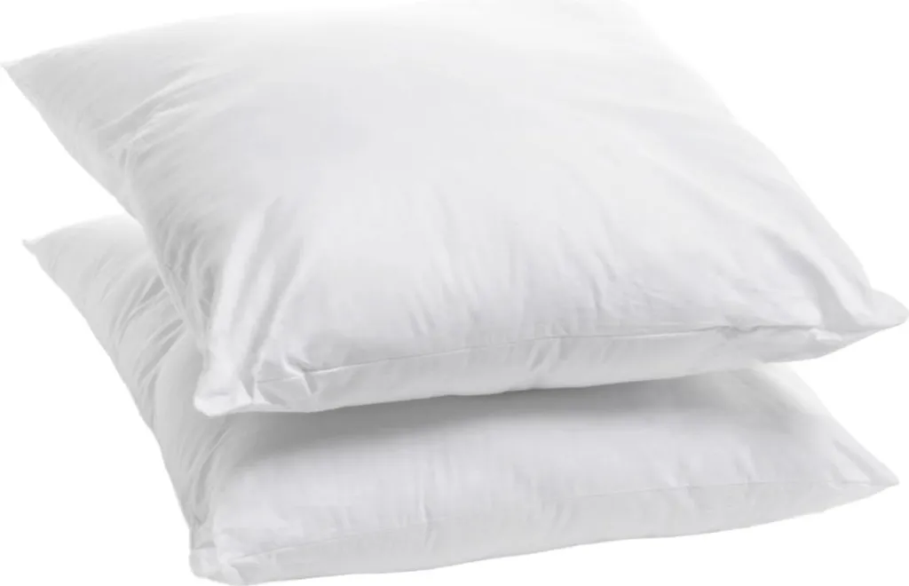 Bleu Câlin Lot de 2 Oreillers Fermes en Coton Bio 60x60 cm Qualité