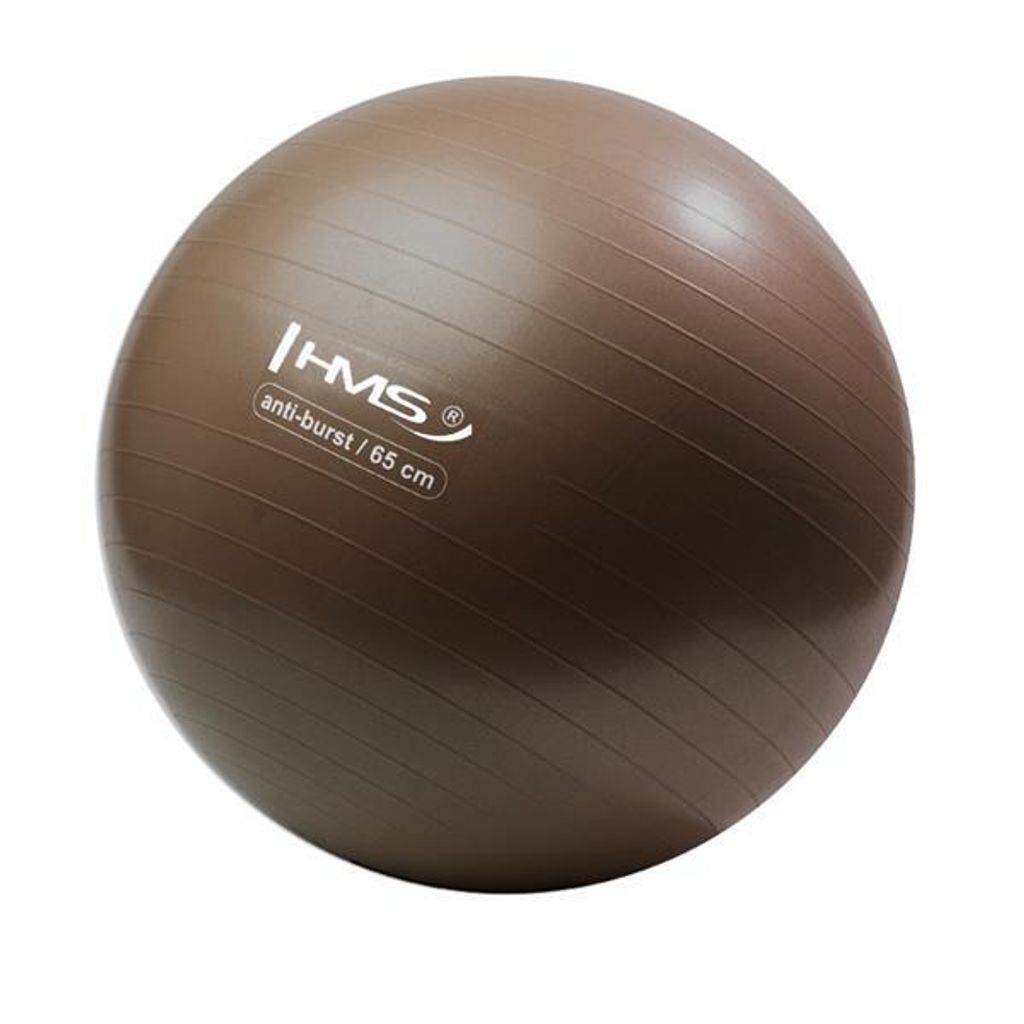 Yb02 Neu 65Cm Grizzly Anti-Burst Braun Gymnastikball Hms Produktbild 