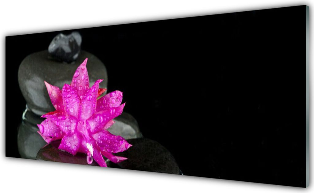 Küchenrückwand aus Glas 125x50cm Spritzschutz Blumen Steine Pflanzen