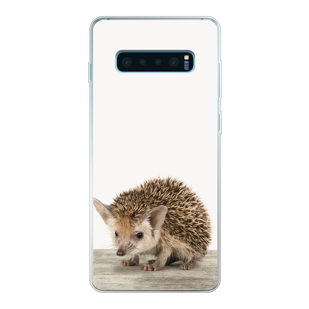 MuchoWow Handyhülle Schutzhülle Hülle für Samsung Galaxy S10 Plus Igel - Tiere - Jungen - Mädchen Silikon Softcase Handy Hülle - Schutzhülle
