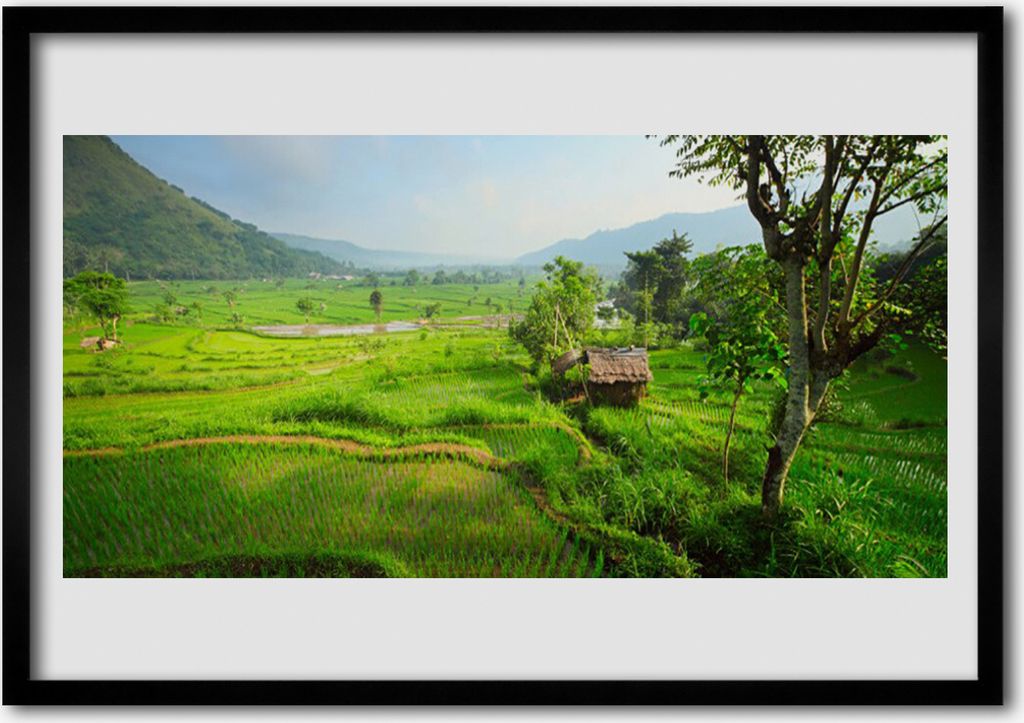 Bild 70x50 MDF-Rahmen Wandkunst Wiese Natur