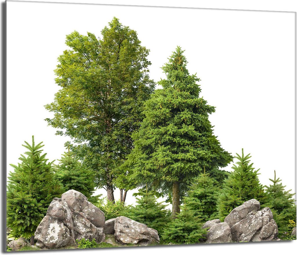 Glasherdplattenschutz 60x52 Bäume