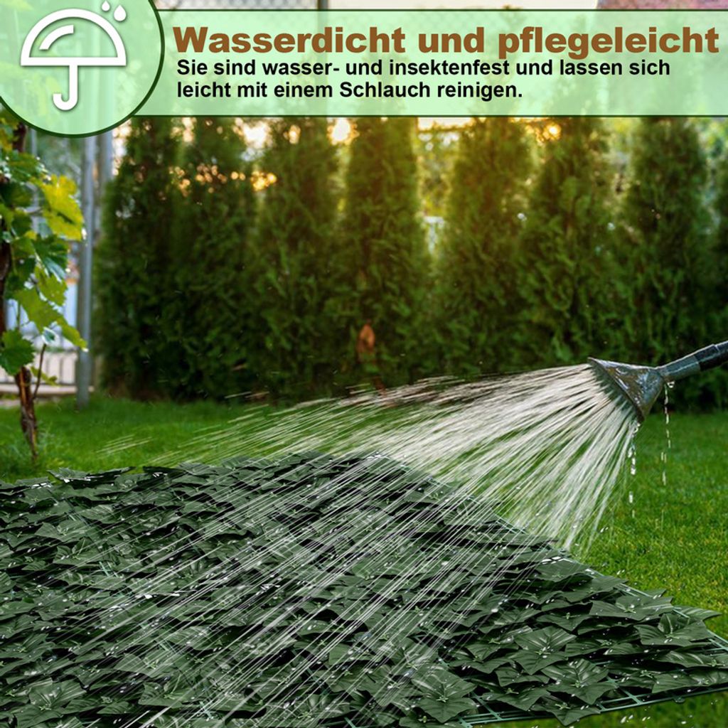 glanzmispel strauch kaufen Glanzmispel 'Little Red Robin' Hochstamm kaufen