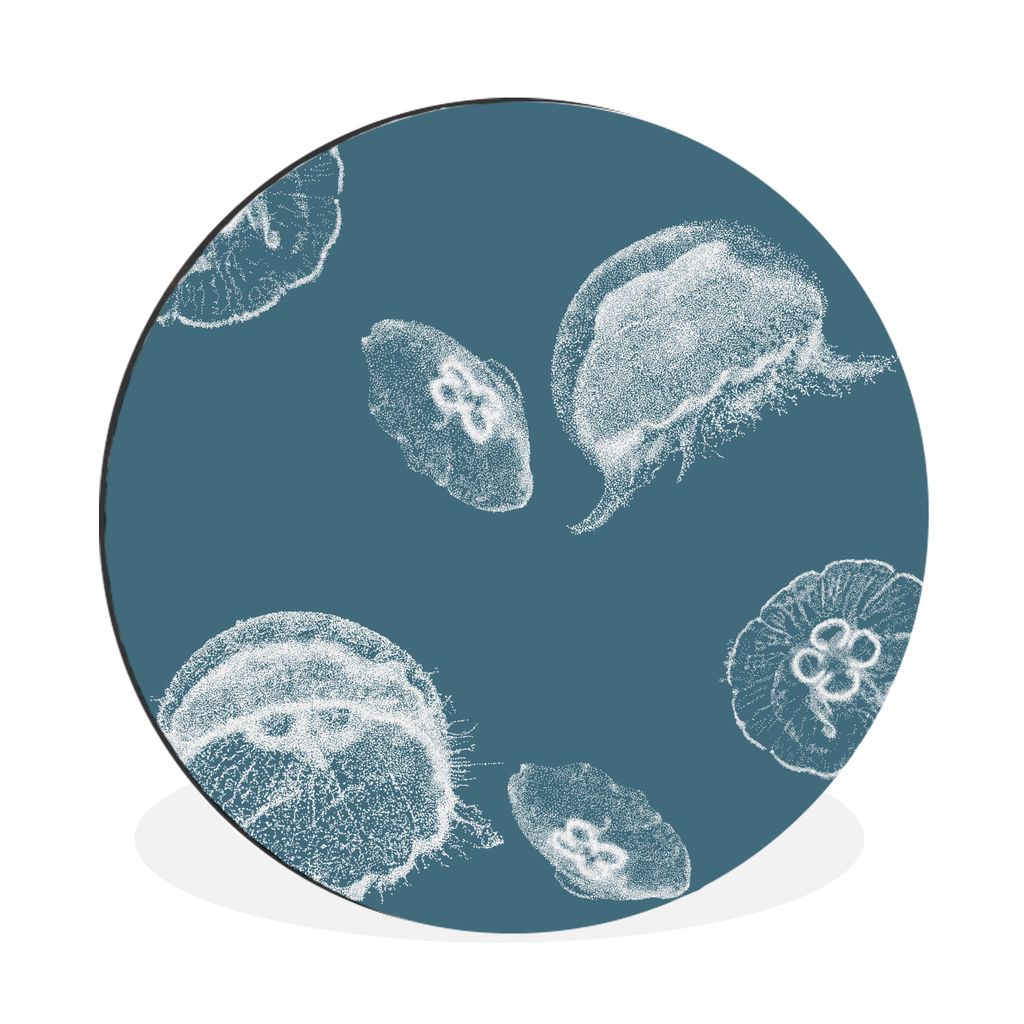 MuchoWow Aluminium Wandkreis Qualle - Blau Ø 60 cm Wanddeko Modern Wohnzimmer - Wand Kreis - Wandbild - Schlafzimmer - Aluminium Bild - Kinderzi...