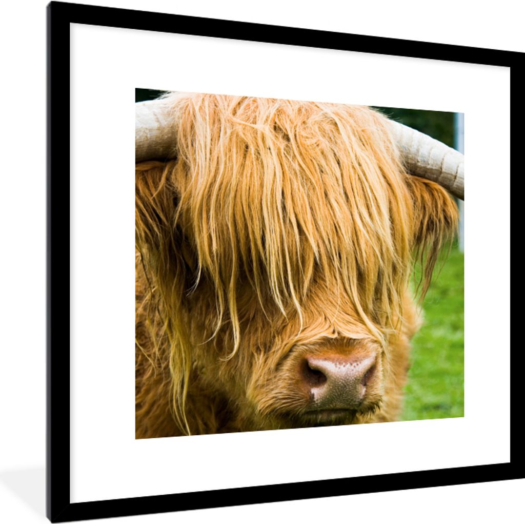 MuchoWow Gerahmtes Poster Schottischer Highlander - Gras - Fell - Tiere - Kuh 40x40 cm - Poster mit Schwarzem Bilderrahmen Wandposter Rahmen Foto...