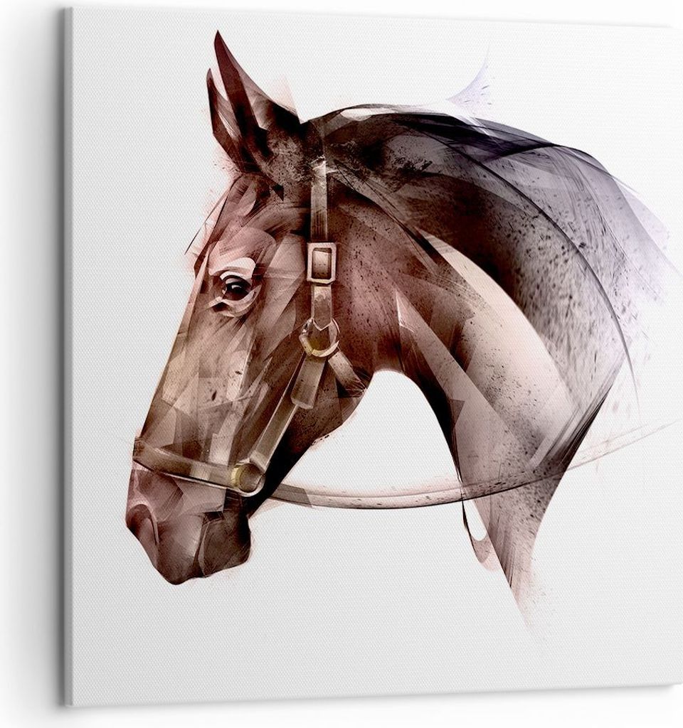 Bild auf Leinwand - Leinwandbild - Pferd Abstraktion - 50x50cm - Wand Bild - Wanddeko - Wandbilder - Leinwanddruck - Bilder - Kunstdruck - Wanddeko...