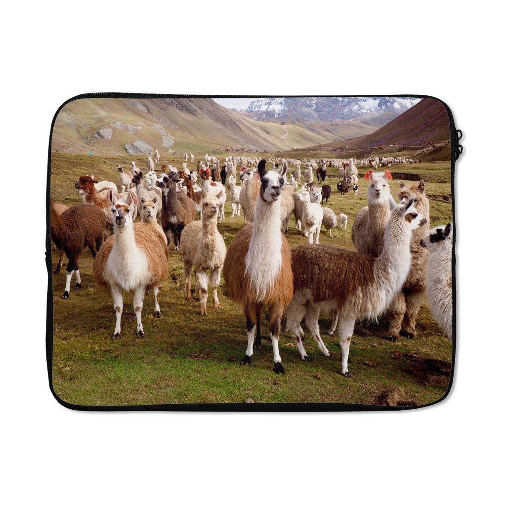 MuchoWow Laptop Hülle 15 Zoll Alpaka - Lama - Peru Laptoptasche - Laptoptasche - Sleeve - Rundum-Schutz