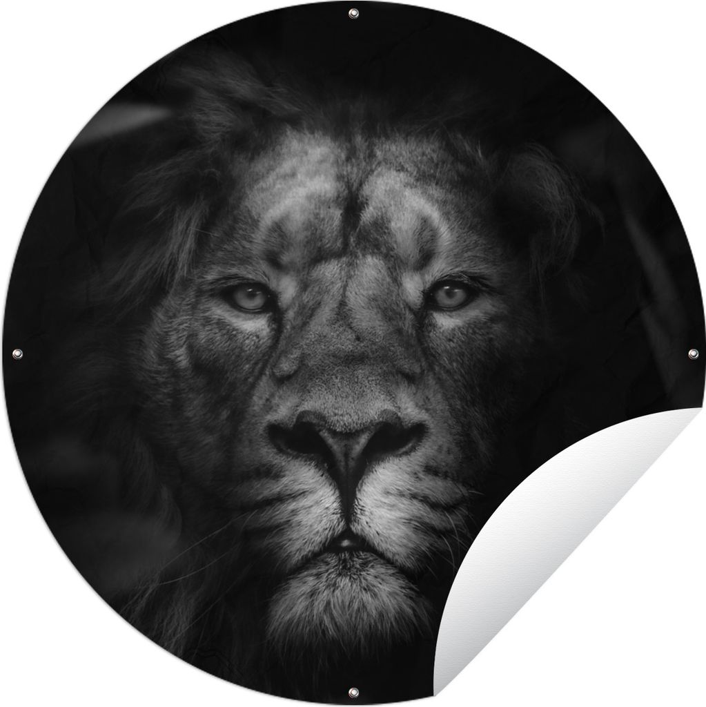 MuchoWow Gartenposter Outdoor-Poster Rund Tiere - Löwe - Wilde Tiere - Schwarz - Weiß Ø 150 cm Gartendeko Rundes Poster draußen