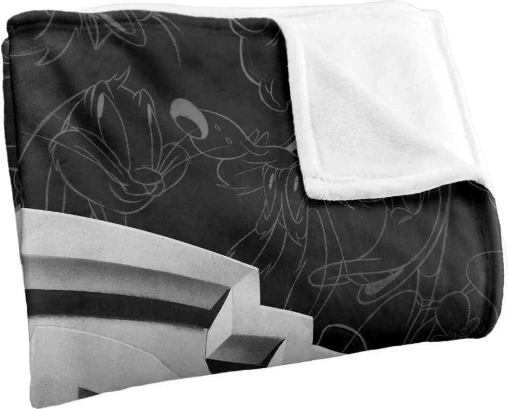 Plaid Looney Tunes Couverture Warner Bros Douce Taille Unique - 3