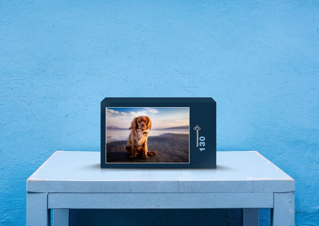 hansepuzzle 26488 - Hund Puzzle, 130 Teile, Tierwelt, 28,7 x 20,0cm mit hochwertiger Aufbewahrung, Kartonbox und wiederverschließbarem Beutel