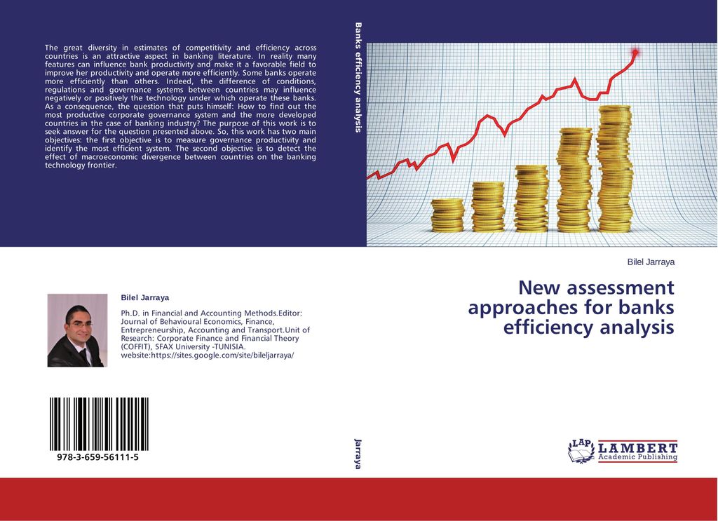 New assessment approaches for banks efficiency analysis