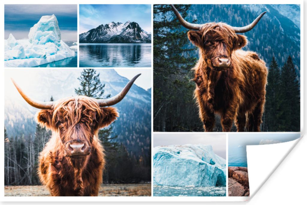 MuchoWow Poster Schottischer Highlander - Collage - Winter 90x60 cm - Schlafzimmer