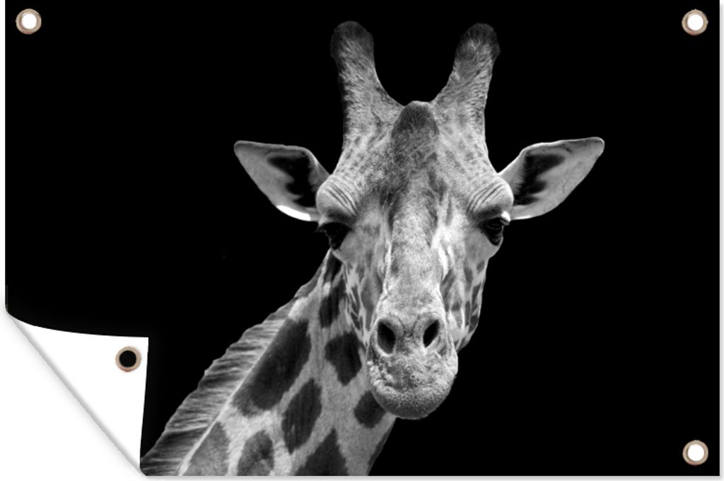MuchoWow 120x80 cm Outdoor-Poster Gartendeko Sichtschutz Garten Poster für den Garten Giraffe - Wildtiere - Schwarz - Weiß - Porträt