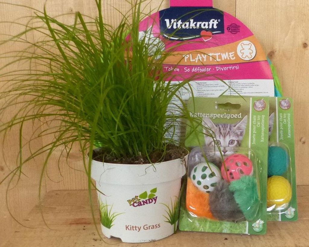 Geschenkpackung Katzenspielzeug mit Katzengras für Ihre Katze - Warentuin mix