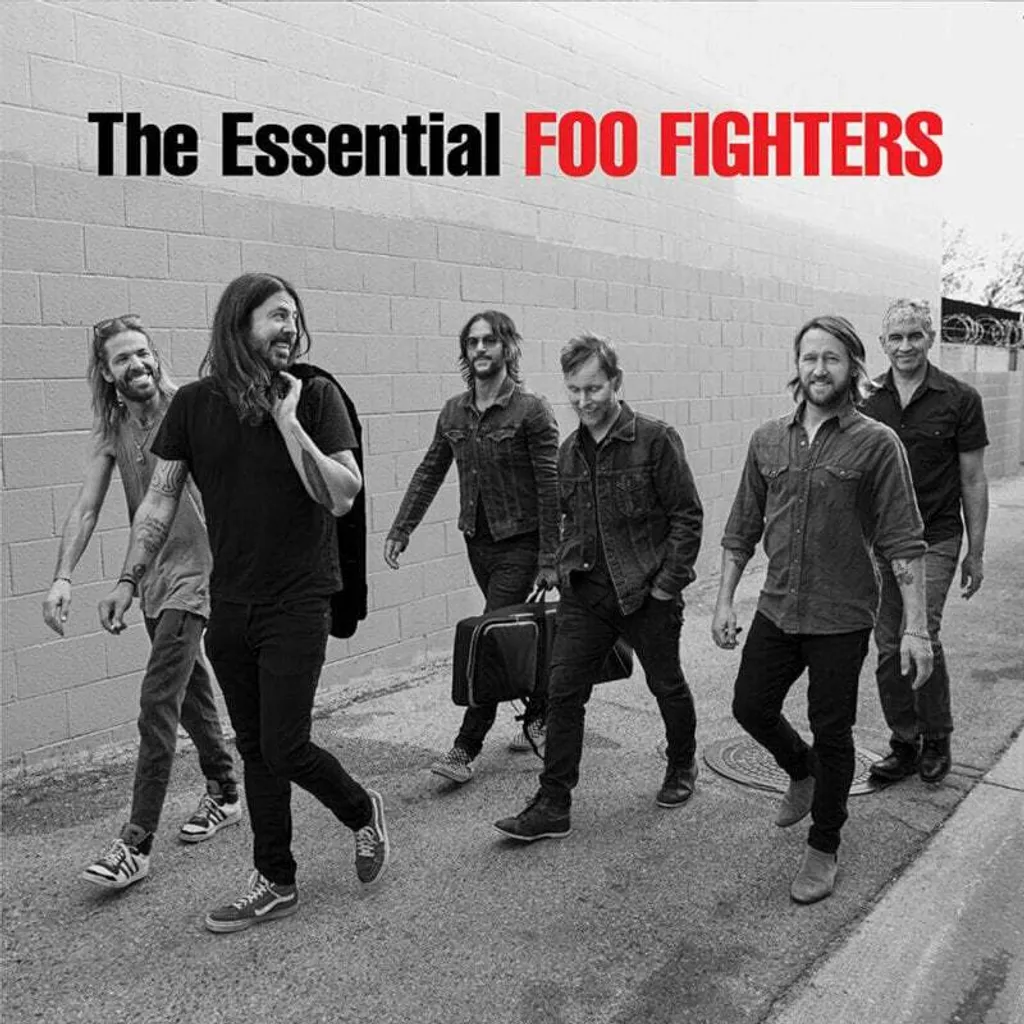 Vinyle Foo Fighters The Essential Double Album LP Rock Légendaire
