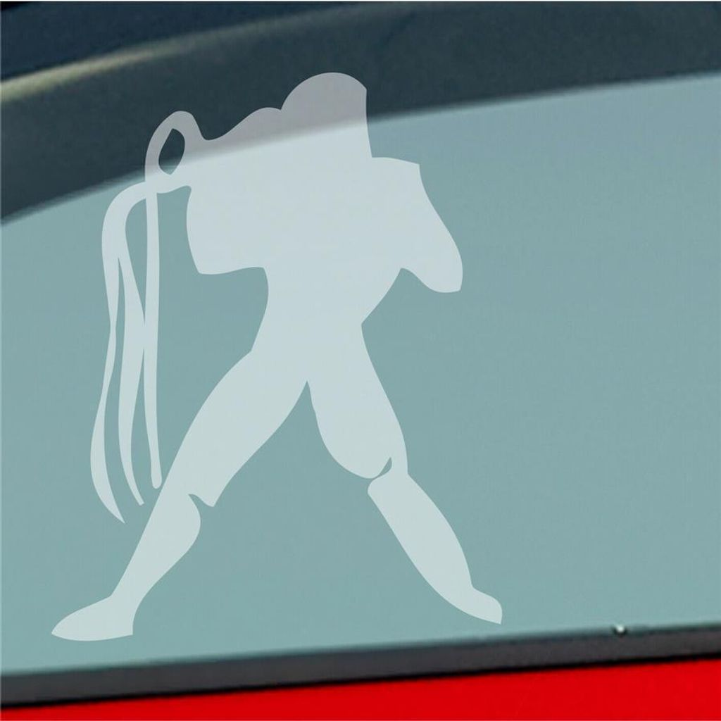 Auto Aufkleber Sternzeichen Wassermann PKW Car KFZ Roller 8x10 cm Milchglas Sticker Heckscheibenaufkleber