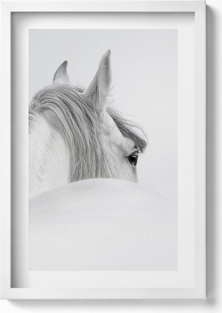 Andalusisches Pferd im Nebel– Wandbild mit Rahmen – Gerahmtes Bild – Wanddekoration – 40x60 cm – Weiß