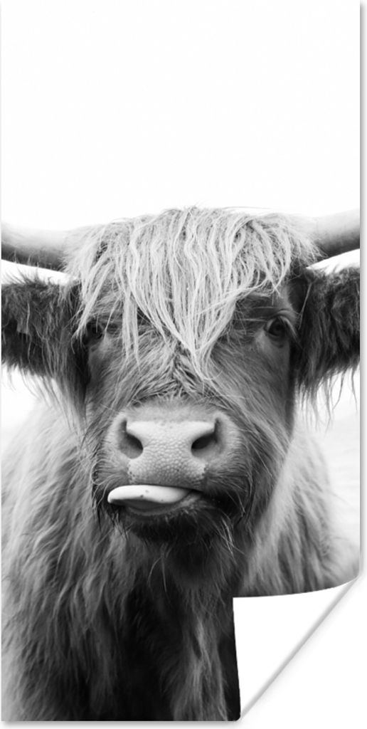 MuchoWow Poster Tiere - Schottischer Highlander - Kuh - Schwarz - Weiß 80x160 cm - Kinderzimmer