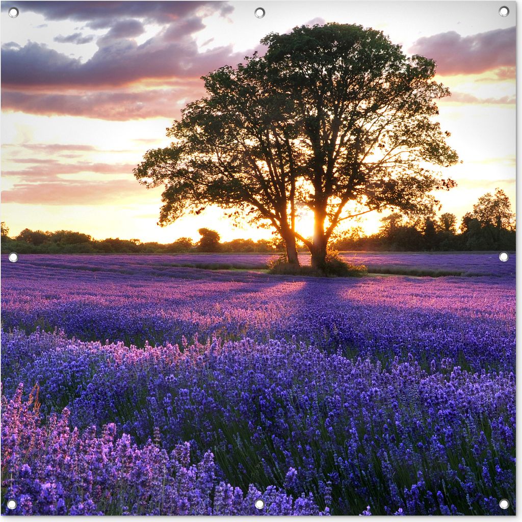MuchoWow 100x100 cm Outdoor-Poster Gartendeko Sichtschutz Garten Poster für den Garten Sommerabendlicher Sonnenuntergang über einem Feld mit -...