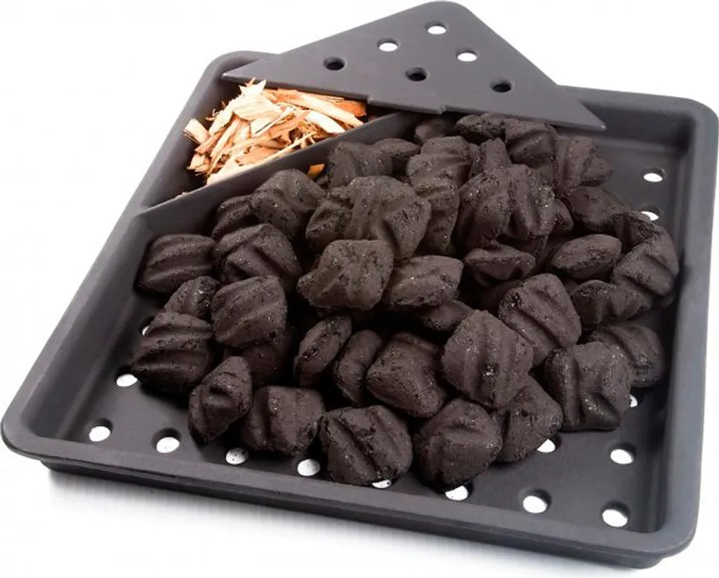 Insert de cheminée pour charbon de bois en fonte - Idéal pour grillades