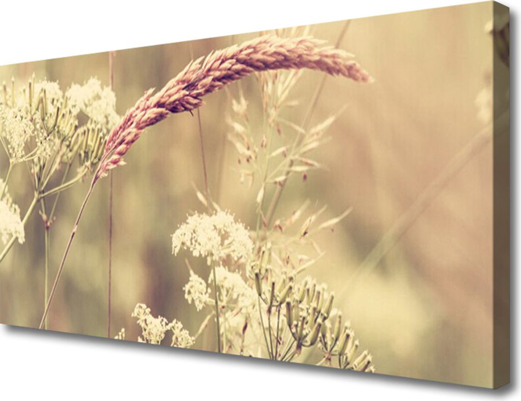 Tulup Leinwand-Bilder 100x50 Wandbild Canvas Kunstdruck Wildpflanzen Pflanzen