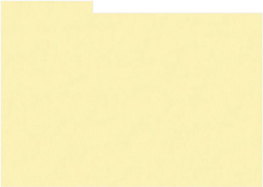 Intercalaires rigides 15x20 cm HNFD Crema pour boîte photo - 10 unités