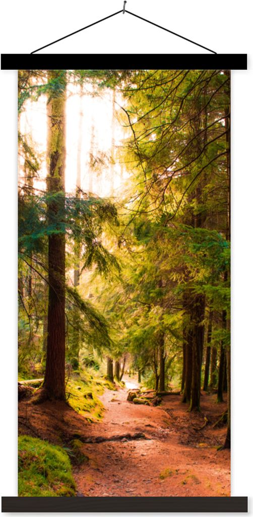MuchoWow Textilposter Wald - Weg - Bäume - Grün - Sonne - Natur 60x120 cm mit schwarzem Rahmen - Magnete