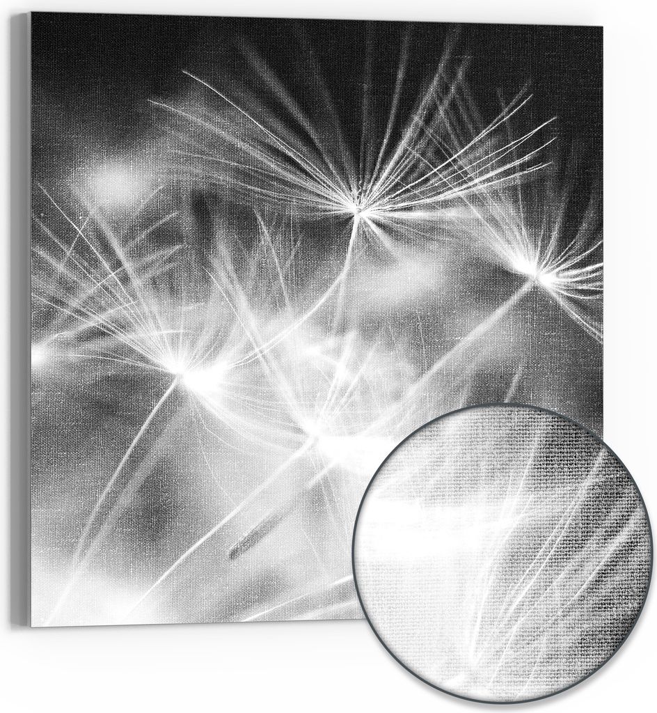 DEQORI Hybrid Leinwand Bild 30x30 cm 'Pusteblumenflug' Wandbild Glas flach modern