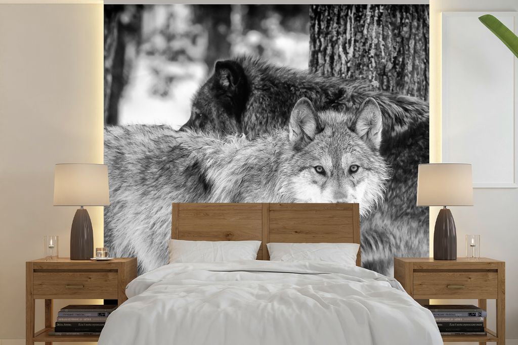 MuchoWow Fototapete für Wohnzimmer oder Schlafzimmer Wandtapete Vinyl Motivtapete Gruppe von Wölfen in Schwarz und Weiß - 350x350 cm - Schlafz...