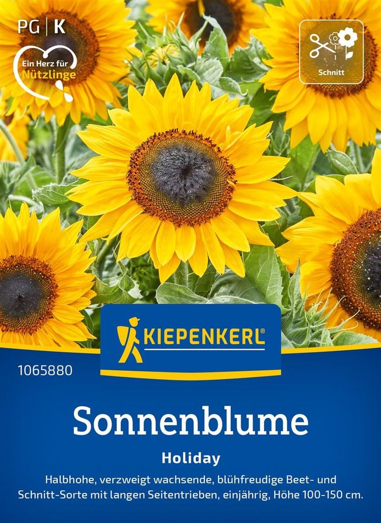 Kiepenkerl Sonnenblumensamen Holiday Helianthus annuus 20 Pflanzen
