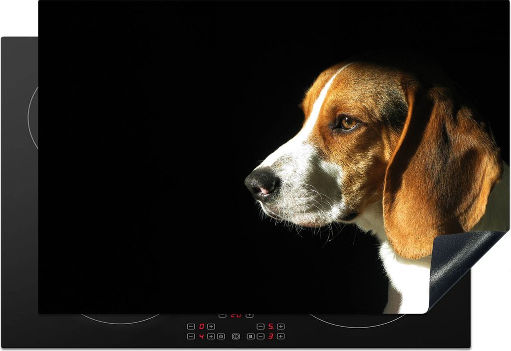 KitchenYeah Herdabdeckplatte Ein Beagle genießt die Sonne , 76x51cm, Küche Deko, Glaskeramikfeld Herdabdeckung, Abdeckplatte fùr Kochfeld
